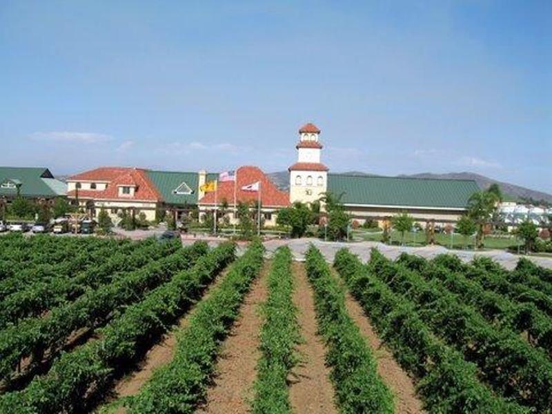 South Coast Winery Resort & Spa Τεμέκουλα
 Εξωτερικό φωτογραφία