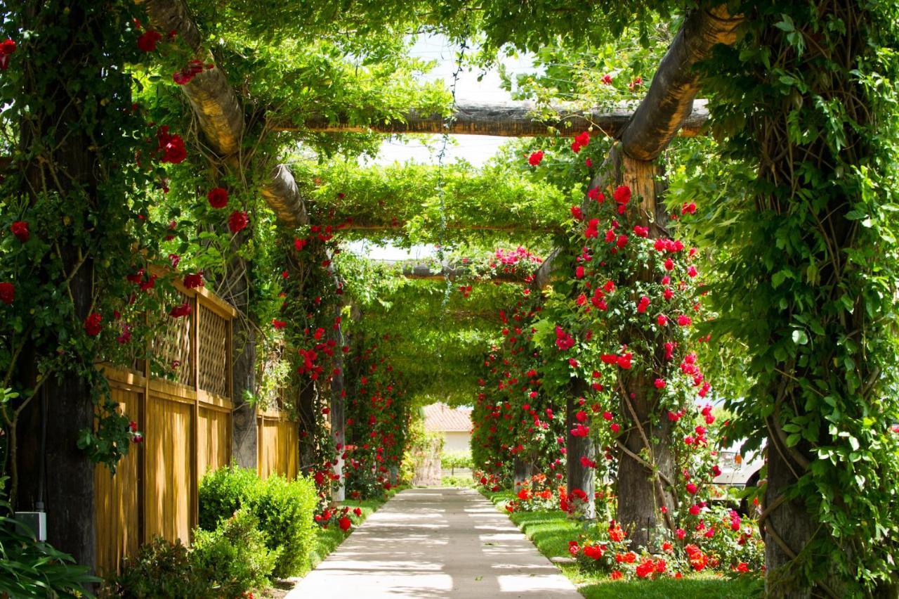 South Coast Winery Resort & Spa Τεμέκουλα
 Εξωτερικό φωτογραφία